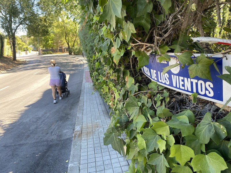 Vecinos por Majadahonda denuncia invasión de aceras por vegetación descontrolada