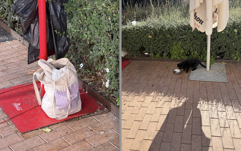Vecinos por Majadahonda plantea cinco preguntas clave en el pleno municipal Vecinos por Majadahonda plantea cinco preguntas clave en el pleno municipal