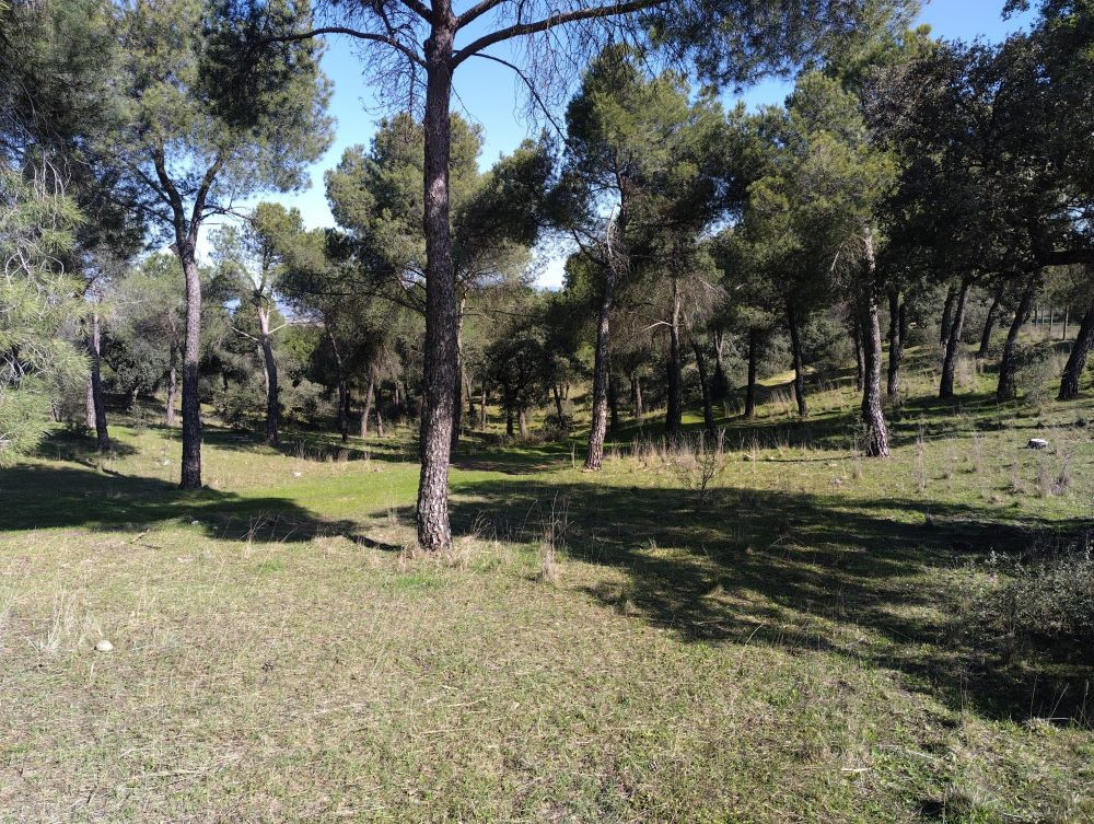 La Dehesa de Majadahonda se incorporará a la futura Red de Observación de Fauna de Madrid La Dehesa de Majadahonda se incorporará a la futura Red de Observación de Fauna de Madrid