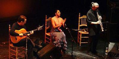 La Casa de la Cultura ‘Carmen Conde’ acoge el IX Festival de Flamenco La Casa de la Cultura ‘Carmen Conde’ acoge el IX Festival de Flamenco