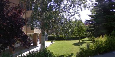 Accidente en Majadahonda tras desplomarse un árbol sobre varios vehículos