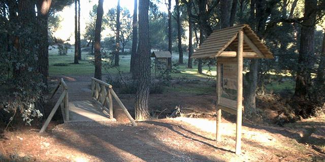 El Monte del Pilar ya ha sido limpiado para prevenir incendios