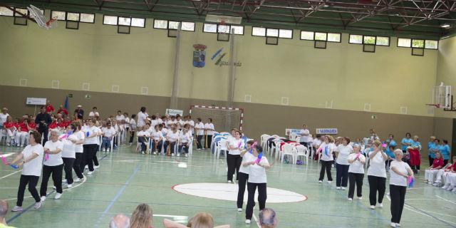Semana del Mayor 2015: exposiciones, campeonatos y actuaciones en Majadahonda