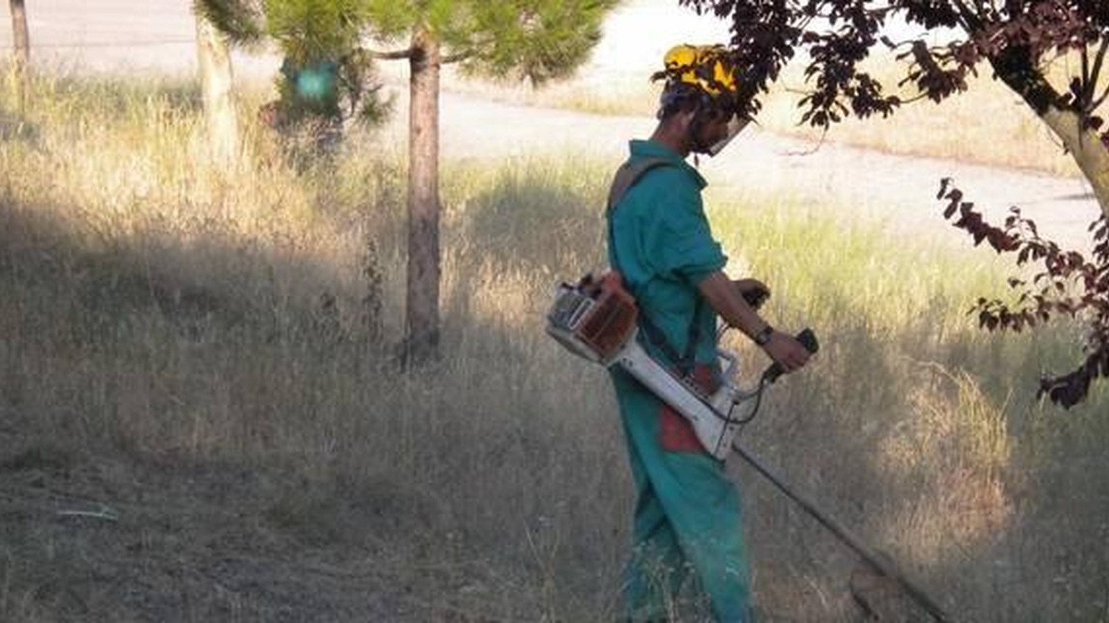 Majadahonda inicia la campaña anual de desbroces en prevención de incendios Majadahonda inicia la campaña anual de desbroces en prevención de incendios