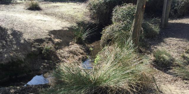 El Arroyo Valgrande recuperará su cauce tras los trabajos de limpieza El Arroyo Valgrande recuperará su cauce tras los trabajos de limpieza