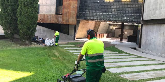 Adjudicado el contrato para el mantenimiento de las zonas verdes de los colegios y escuelas infantiles de Majadahonda Adjudicado el contrato para el mantenimiento de las zonas verdes de los colegios y escuelas infantiles de Majadahonda