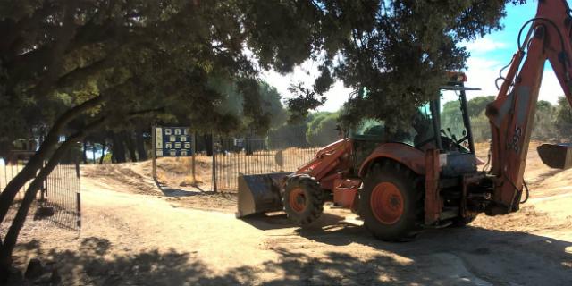 Majadahonda realizará un tratamiento contra la procesionaria en el Monte del Pilar 