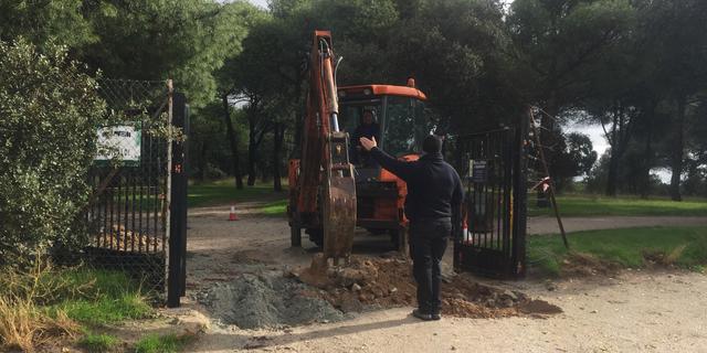 La concejalía de Medio Ambiente toma medidas ante la proliferación de jabalíes