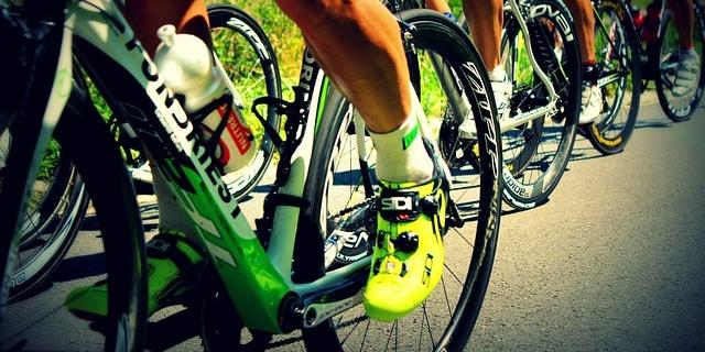 Ejercicios cardiovasculares, ¿conoces sus enormes beneficios? Ejercicios cardiovasculares, ¿conoces sus enormes beneficios?