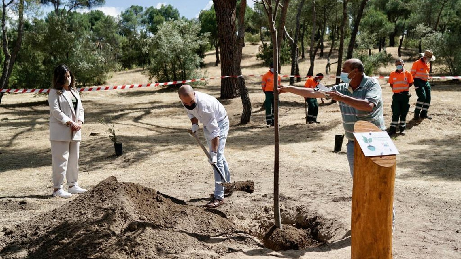 Majadahonda planta 50 árboles por el Día Mundial del Medio Ambiente