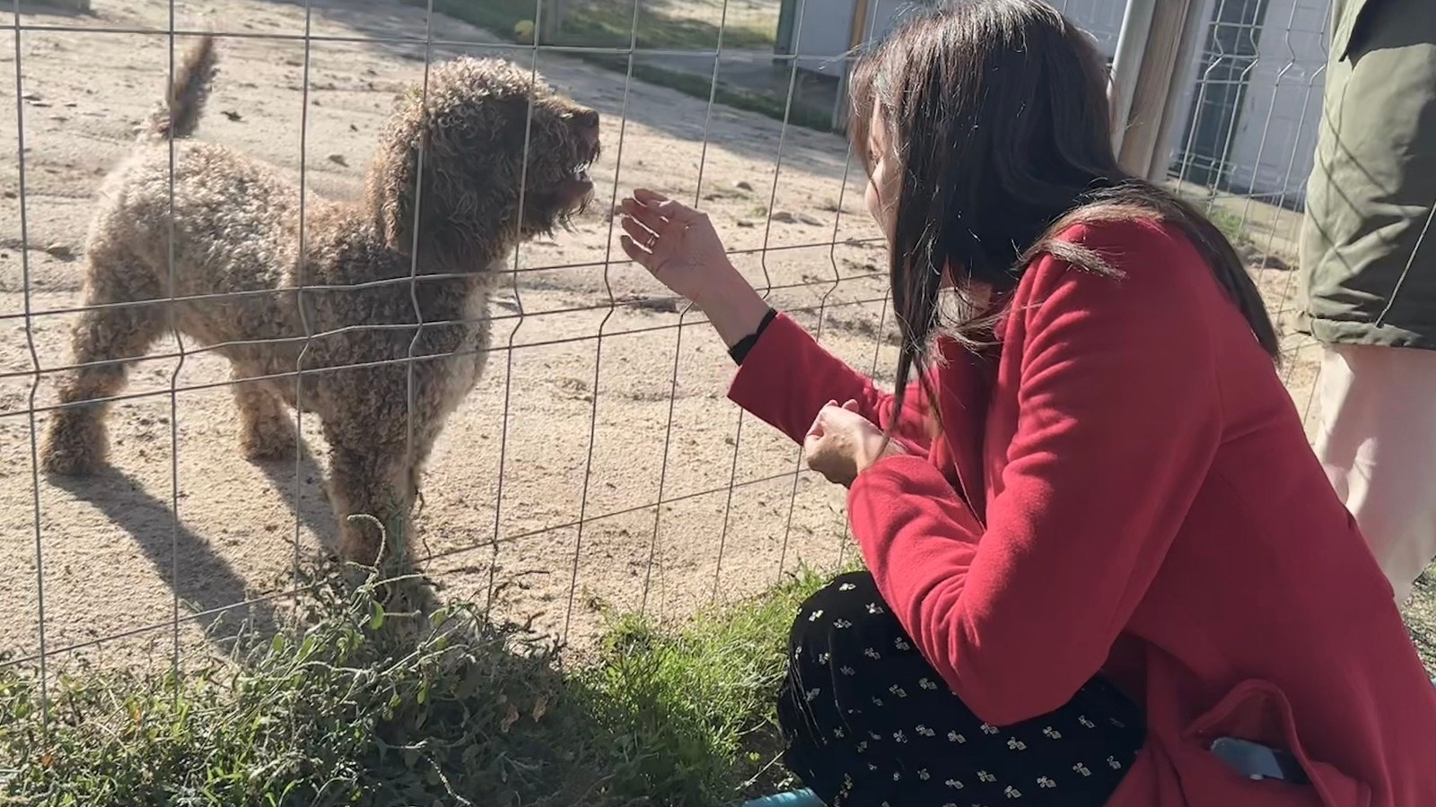 Majadahonda acomete importantes mejoras en el Centro Integral Canino para incrementar el bienestar animal