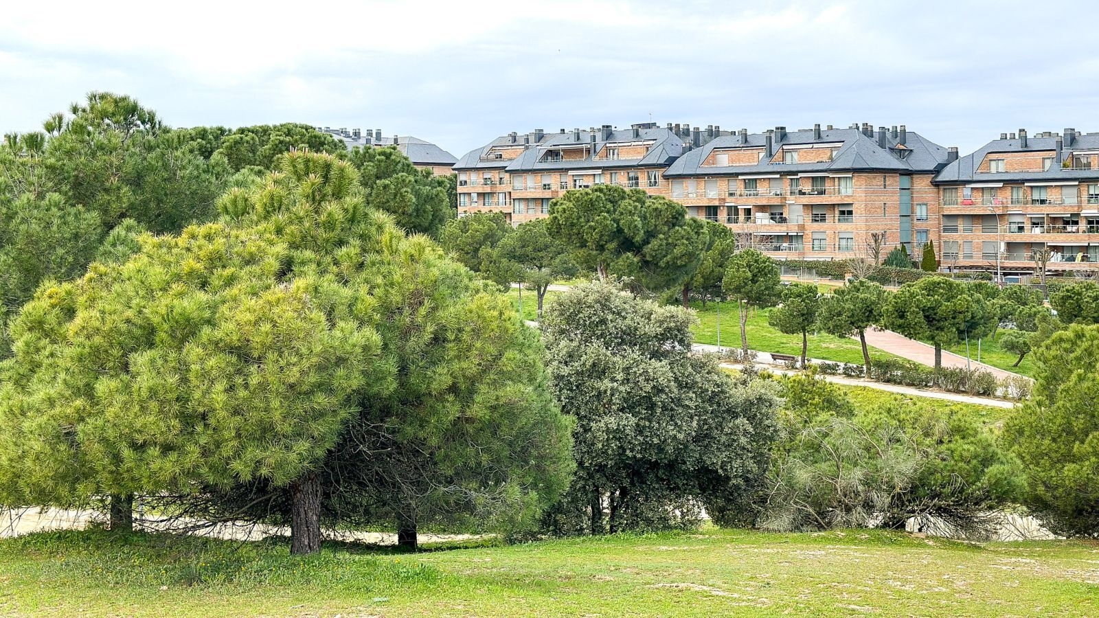 Majadahonda es reconocida como "Tree City of the World" por la ONU