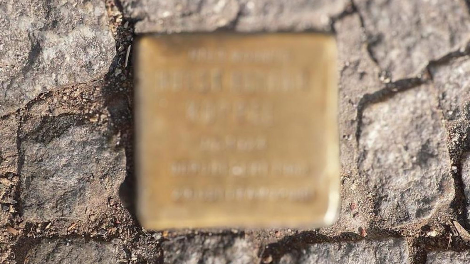 Majadahonda honra a Mariano Escribano, víctima del nazismo, con un stolpersteine Majadahonda honra a Mariano Escribano, víctima del nazismo, con un stolpersteine