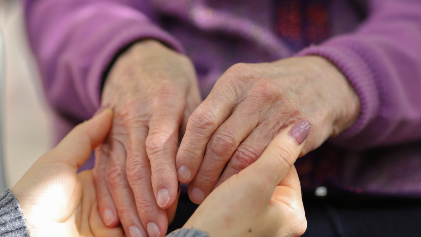 Majadahonda refuerza el apoyo a cuidadores de personas dependientes con un nuevo taller formativo Majadahonda refuerza el apoyo a cuidadores de personas dependientes con un nuevo taller formativo