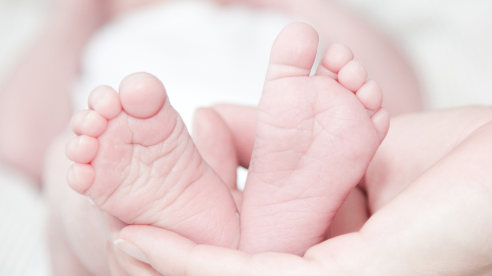 Majadahonda aumenta un 10% las ayudas por nacimiento o adopción Majadahonda aumenta un 10% las ayudas por nacimiento o adopción
