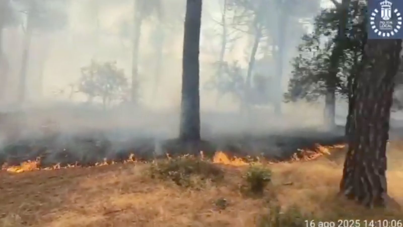 Vecinos por Majadahonda exige transparencia sobre el incendio en el Monte del Pilar