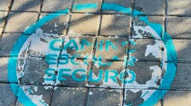 vox-acusa-al-pp-de-no-cumplir-con-el-plan-de-caminos-escolares