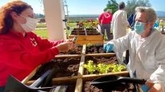 proponen-crear-huertos-urbanos-y-jardines-terapeuticos-en-el-entorno-del-hospital-puerta-de-hierro-de-majadahonda