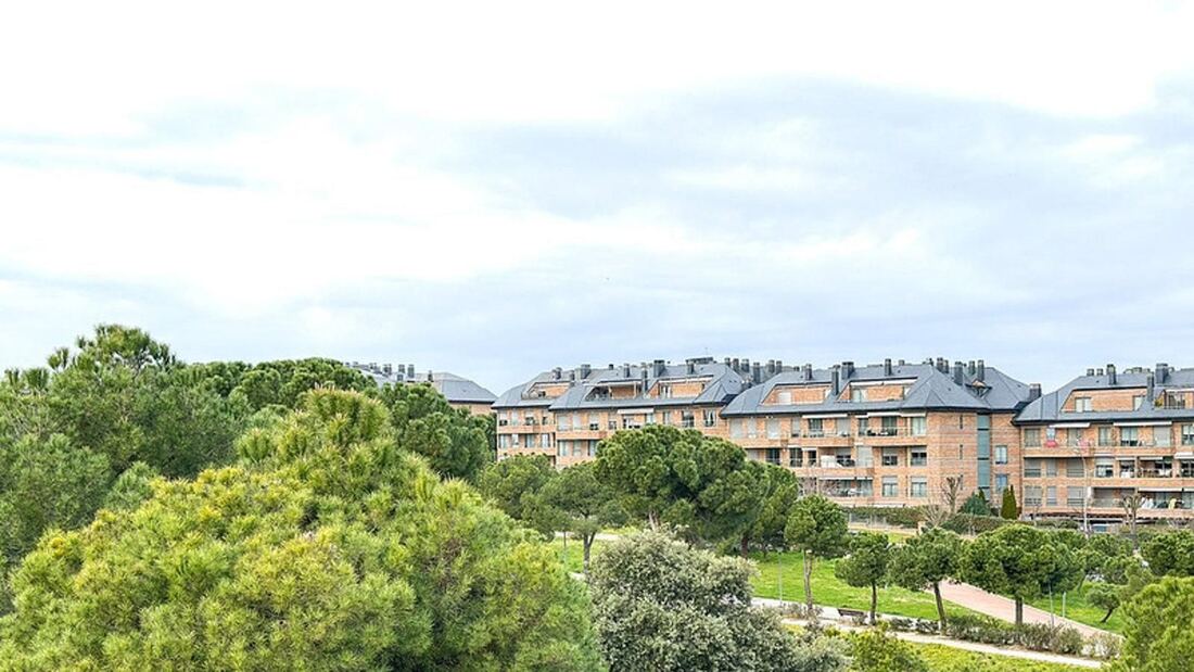 Majadahonda retira 80 árboles invasores Ailanthus altissima para proteger biodiversidad