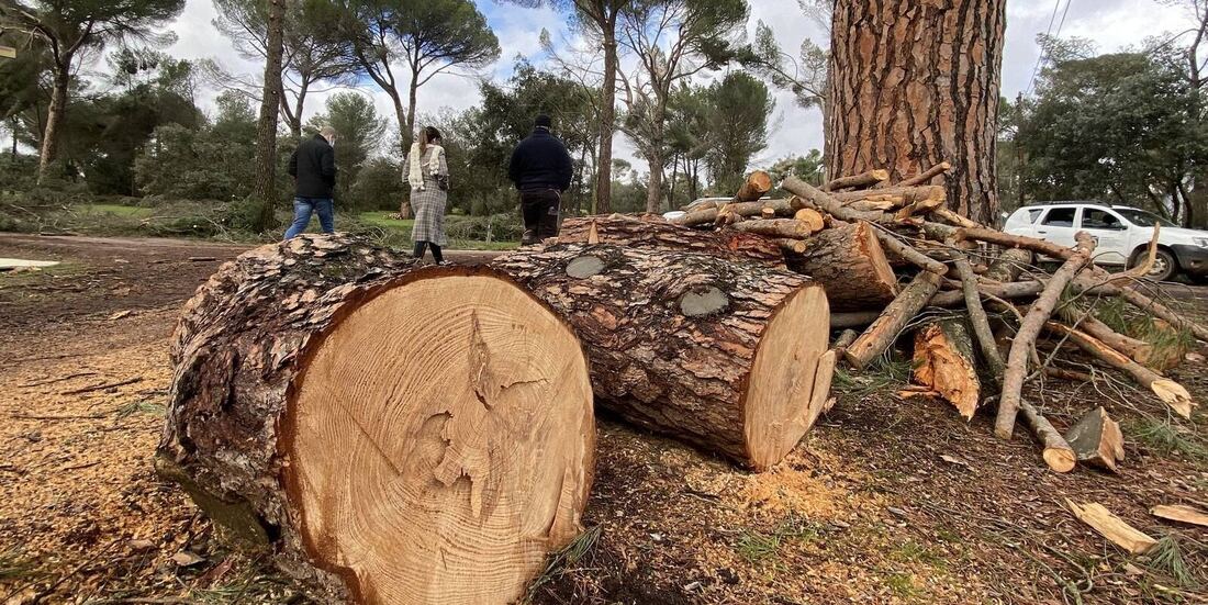 Se reabren más de 30 hectáreas del Monte del Pilar tras Filomena