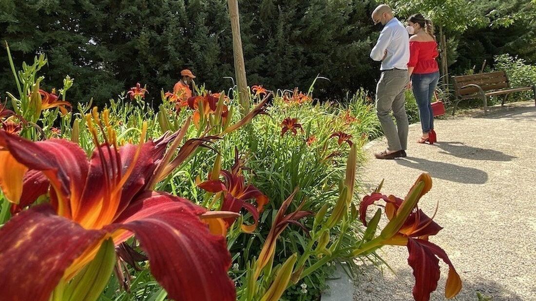 Majadahonda suma medio millón de euros al mantenimiento de zonas verdes y el control de plagas