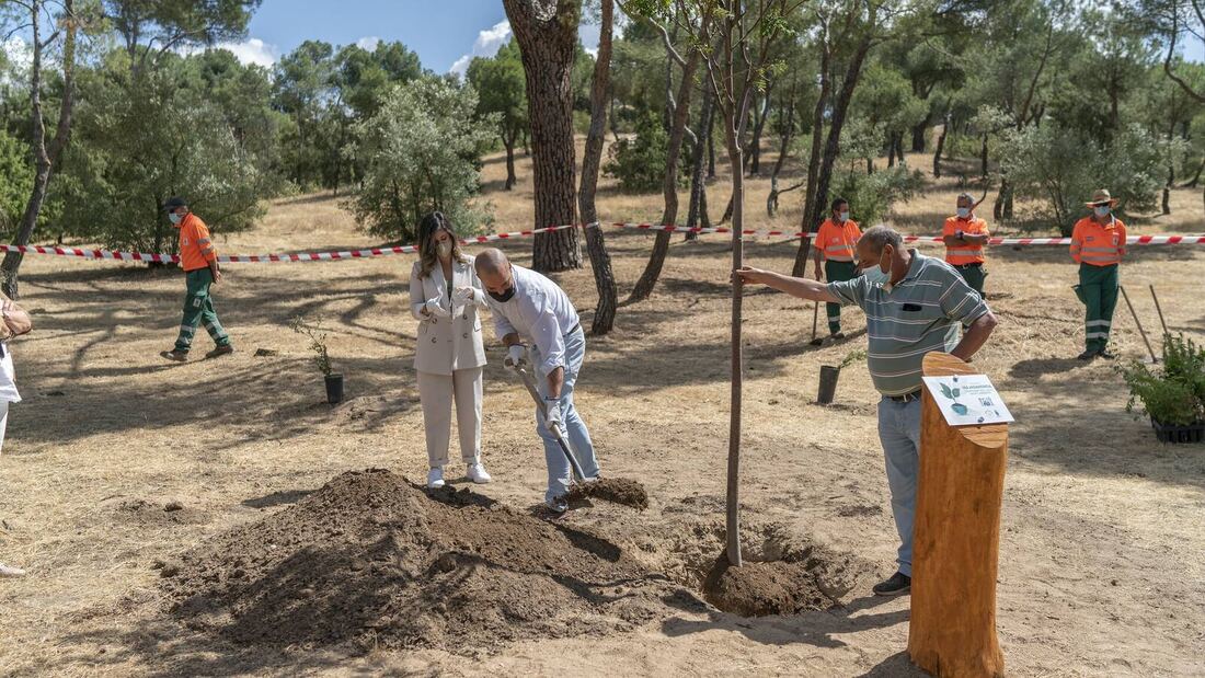 Galardonado el Ayuntamiento de Majadahonda por su gestión medioambiental