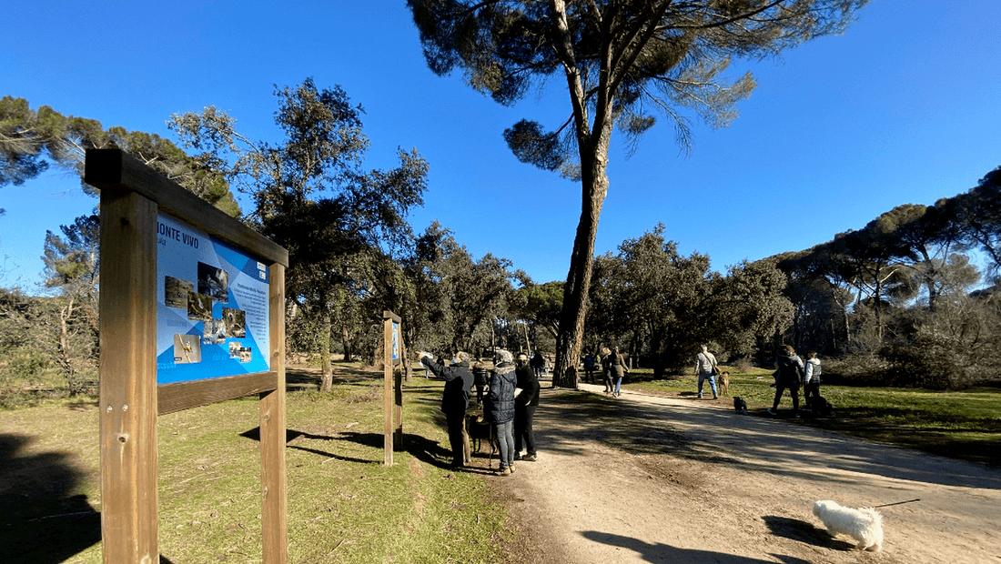 Galardonado por segundo año consecutivo el Ayuntamiento de Majadahonda por la gestión de su política medioambiental 