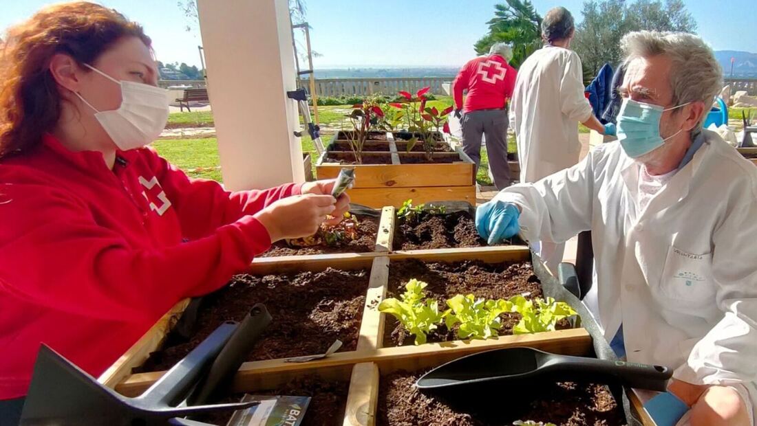 Proponen crear huertos urbanos y jardines terapéuticos en el entorno del Hospital Puerta de Hierro de Majadahonda