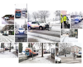 operativo nevada web 1